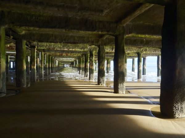 Pier And Beam Leveling in Dearborn